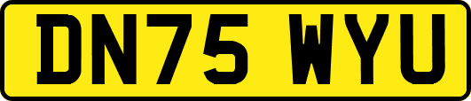 DN75WYU