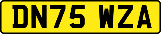 DN75WZA
