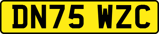 DN75WZC