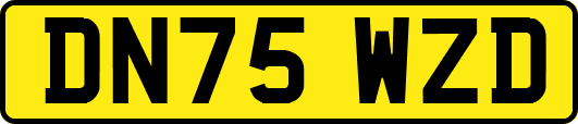 DN75WZD
