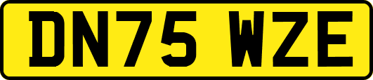DN75WZE