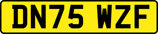 DN75WZF