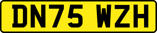DN75WZH