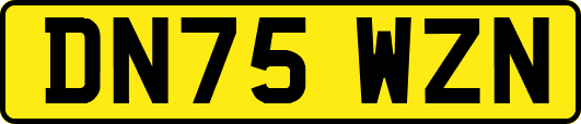 DN75WZN