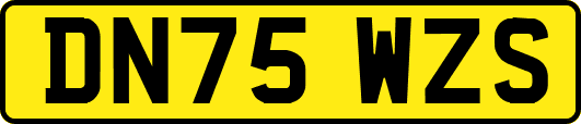DN75WZS