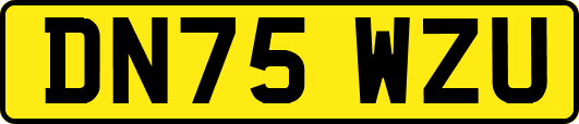 DN75WZU