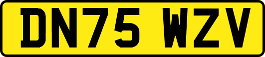 DN75WZV