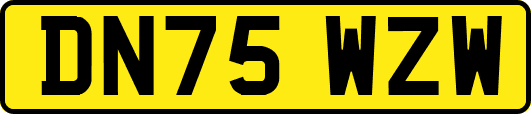 DN75WZW