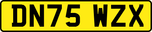 DN75WZX