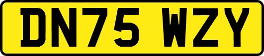 DN75WZY