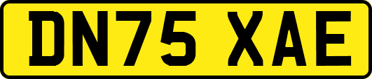 DN75XAE