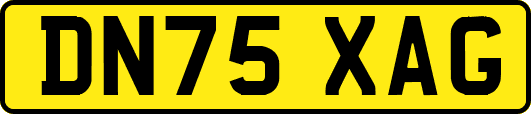 DN75XAG