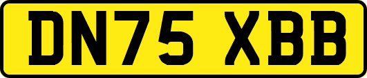 DN75XBB