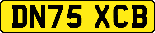 DN75XCB