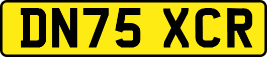 DN75XCR