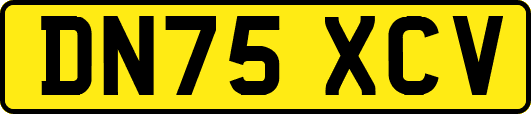DN75XCV