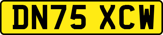 DN75XCW