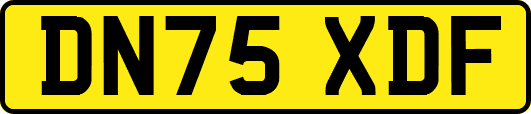 DN75XDF