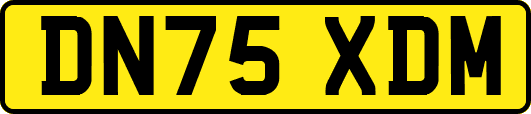 DN75XDM