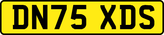 DN75XDS