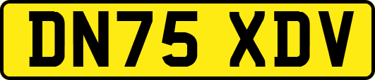DN75XDV