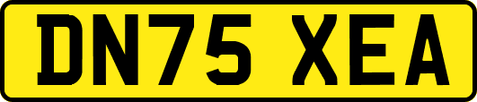 DN75XEA
