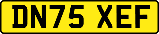 DN75XEF