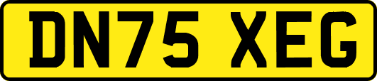 DN75XEG