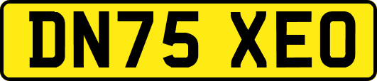 DN75XEO