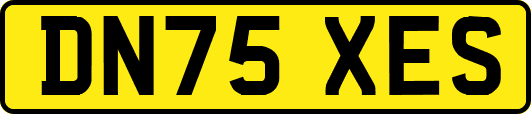 DN75XES