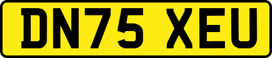 DN75XEU