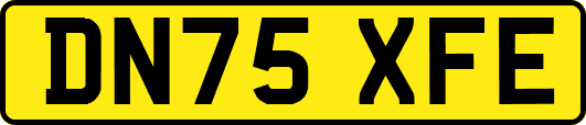 DN75XFE