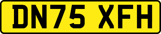 DN75XFH