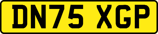 DN75XGP