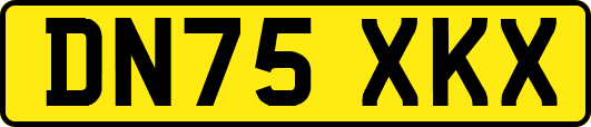 DN75XKX