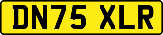 DN75XLR