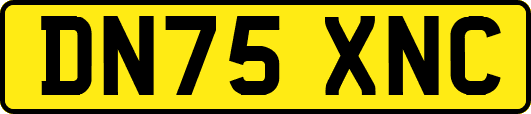 DN75XNC