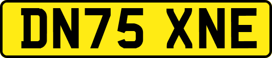DN75XNE