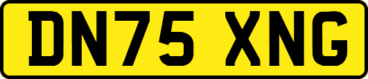 DN75XNG