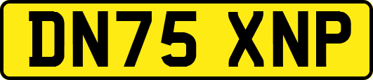 DN75XNP