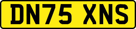 DN75XNS