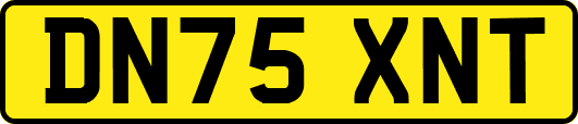 DN75XNT