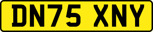 DN75XNY