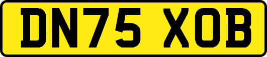 DN75XOB