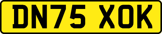 DN75XOK