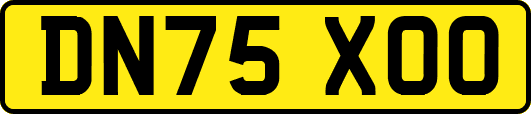 DN75XOO