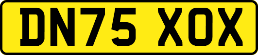 DN75XOX