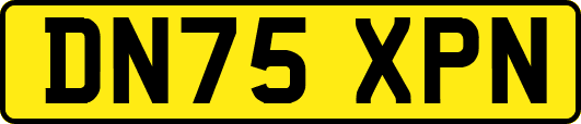 DN75XPN