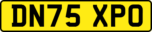 DN75XPO