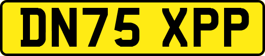 DN75XPP